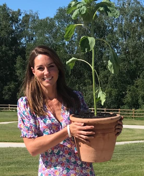 The Duchess of Cambridge proudly holds a planted sunflower.