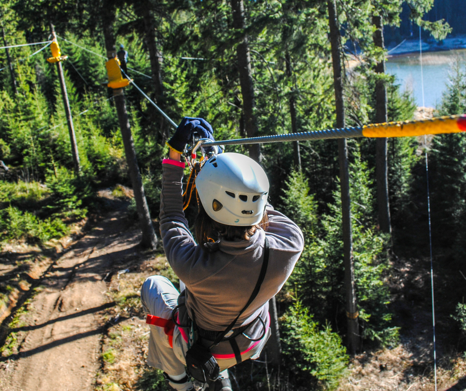 Zip Wire - Together for Short Lives